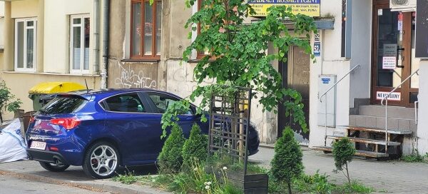 Teren trawnika z nasadzeniami roślinnymi przed lokalem usługowym.