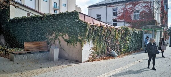 Mur porośnięty pnączami, otaczający, biały zabytkowy budynek.