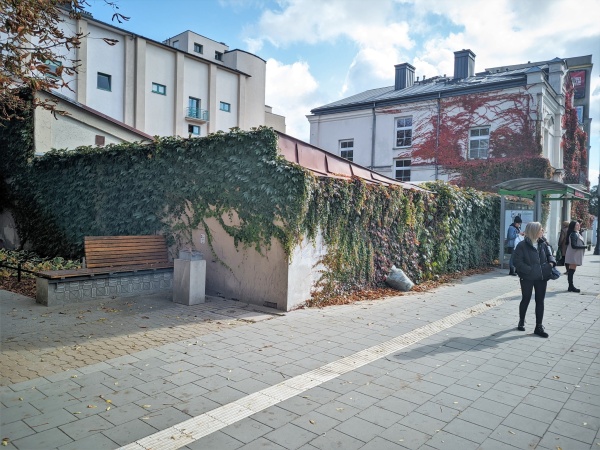 Mur porośnięty pnączami, otaczający, biały zabytkowy budynek.