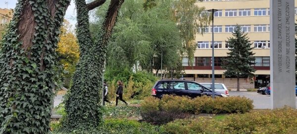 Tereny zielone przed Politechniką. Pnie drzew pokryte bluszczem. Widoczne nasadzenia krzewów.