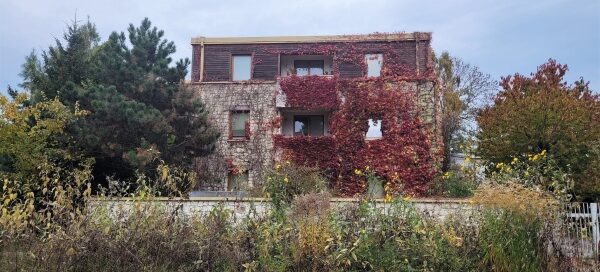 Nowoczesny dom z betonu i drewna, porośnięty pnączami. Pnącza porastające dom są przycięte, tworząc widok kwadratów. Fotografia wykonana Jesienią kiedy to kolor pnączy zmienia się na czerwony.
