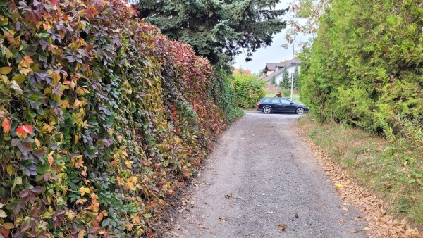 Ubita droga gruntowa, przy której, na ogrodzeniu zasadzono pnącza. Okres Jesienny.