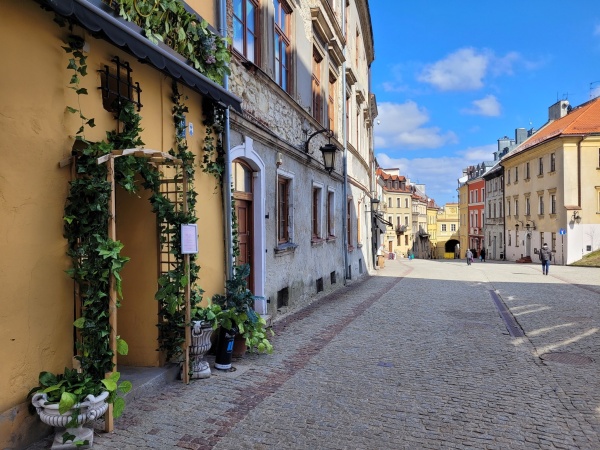Pnącza ozdabiające wejście do jednej z restauracji na Starym Mieście.