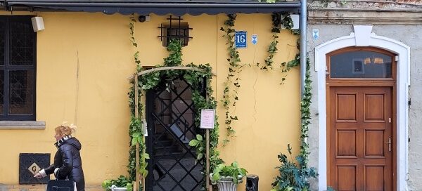 Pnącza ozdabiające wejście do jednej z restauracji na Starym Mieście.