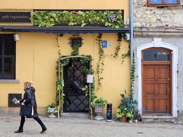 Pnącza ozdabiające wejście do jednej z restauracji na Starym Mieście.