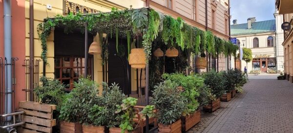 Zielona roślinność ozdabiająca zadaszone wejście do jednej z restauracji w centrum miasta.