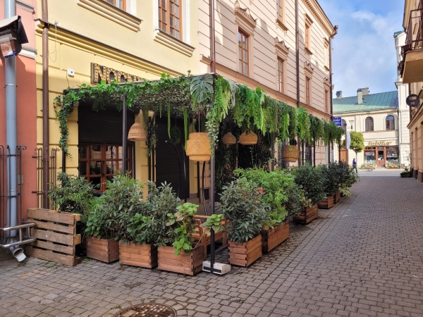 Zielona roślinność ozdabiająca zadaszone wejście do jednej z restauracji w centrum miasta.