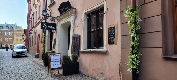 Zielone pnącze dekorujące rynnę przy kamienicy na Starym Mieście.