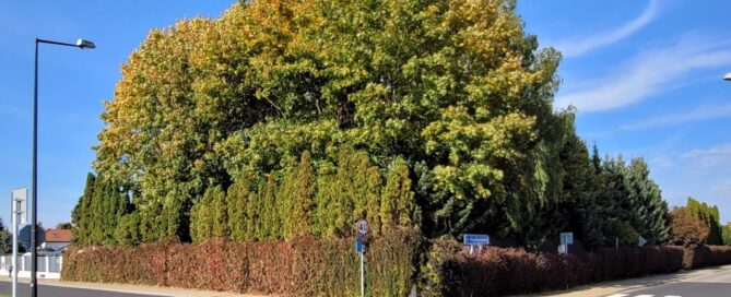 Posesja usytuowana przy skrzyżowaniu dwóch ulic. Stare, rozłożyste drzewa, rzędy tui oraz pnącza zasadzone na ogrodzeniu, tworzą prywatny klimat miejsca.