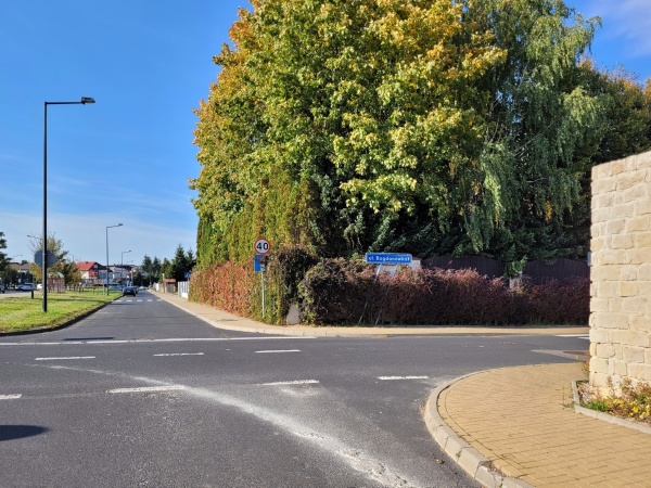 Stare, rozłożyste drzewa, rzędy tui oraz pnącza zasadzone na ogrodzeniu, oddzielają teren posesji od okolicy.