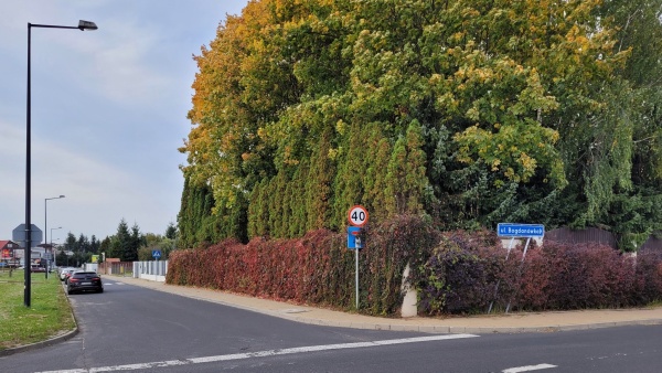 Stare, rozłożyste drzewa, rzędy tui oraz pnącza zasadzone na ogrodzeniu, oddzielają teren posesji od okolicy.