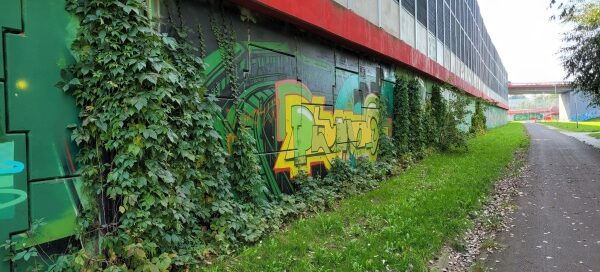 Ścieżka rowerowa, obok ekranów akustycznych cząściowo porośniętych pnączami.