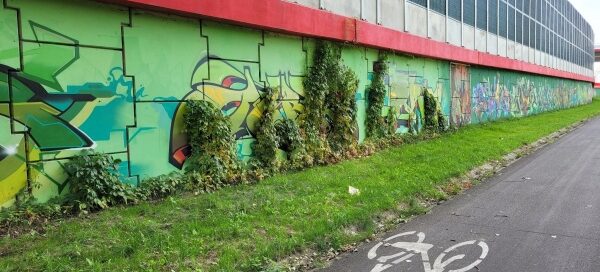 Ścieżka rowerowa, obok ekranów akustycznych cząściowo porośniętych pnączami.