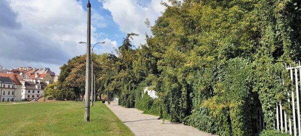 Chodnik dla pieszych przebiegający obok ogrodzenia otaczającego zamek. Ogrodzenie zarasta winobluszcz. Widoczne są również drzewa, rosnące u stóp wzgórza zamkowego.