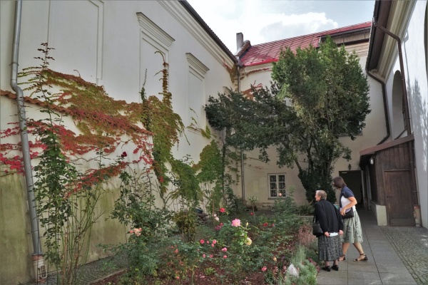 Patio klasztoru. Widoczna kompozycja z pnączy, drzewo oraz rabata z kwiatami.