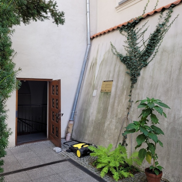 Kompozycja z pnączy na ścianie patio klasztoru.