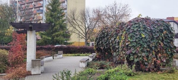 Alejka prowadząca na skwer. Widoczne nasadzenia roślinne, pergola z pnączami oraz blok mieszkalny.