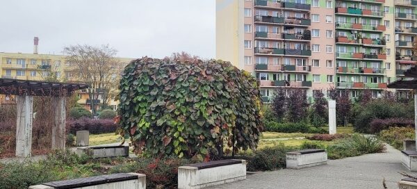 Skwer osiedla mieszkaniowego. Widoczne betonowe ławki, oraz pergola porośnięta pnączami.