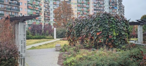 Alejki skweru. Widoczne nasadzenia roślinne, pergola oraz blok mieszkalny.