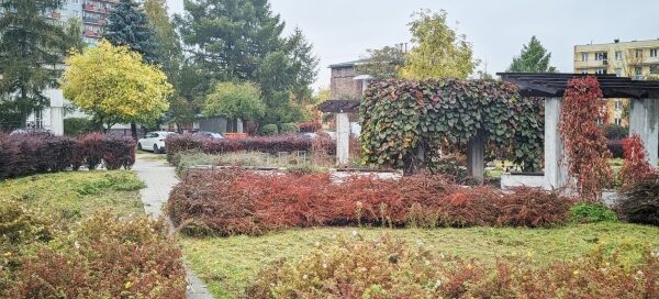 Skwer z roślinnością na osiedlu mieszkaniowym. Widoczny trawnik, żywopłoty oraz pergola.
