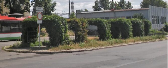 Wysepka z chodnikiem, nad którym ustawiono sześć pergoli porośniętych pnączami.