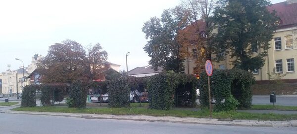 Wysepka z chodnikiem, nad którym ustawiono sześć pergoli porośniętych pnączami.