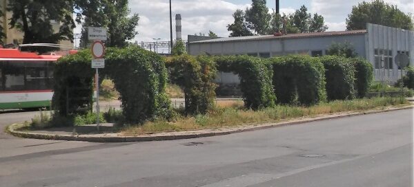 Wysepka z chodnikiem, nad którym ustawiono sześć pergoli porośniętych pnączami.