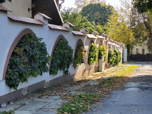 Mur, w którego otworach zasadzono pnącza. Pnącza mają formę drzewek.