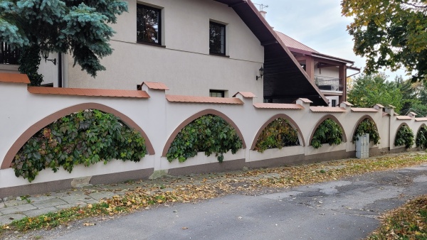 Mur, w którego otworach zasadzono pnącza. Pnącza mają formę drzewek.