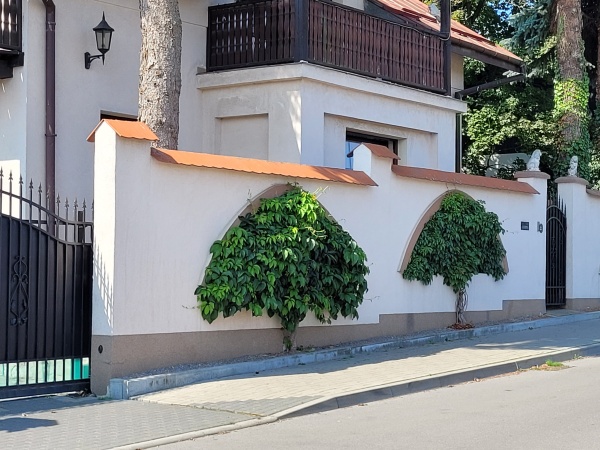 Mur, w którego otworach zasadzono pnącza. Pnącza mają formę drzewek.