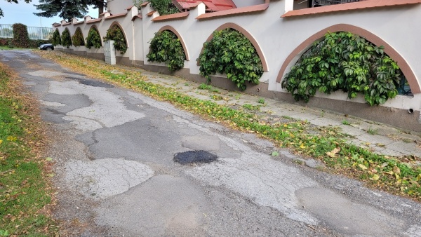 Mur, w którego otworach zasadzono pnącza. Pnącza mają formę drzewek.