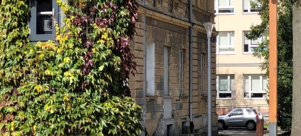 Projektor porośnięty pnączami na Placu Litewskim.