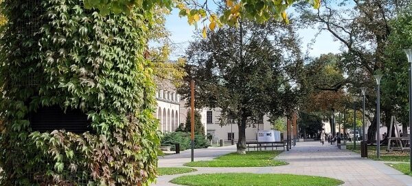 Projektor porośnięty pnączami na Placu Litewskim. W tle widoczne alejki i drzewa.