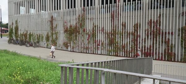 Pnącza na jednej ze ścian galerii handlowej. Zmieniają swój kolor razem z porami roku.