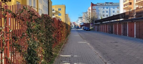 Winobluszcz rosnący na ogrodzeniu. Widoczne bloki mieszkalne oraz garaże.