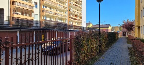 Winobluszcz rosnący na ogrodzeniu. Widoczne bloki mieszkalne oraz garaże.