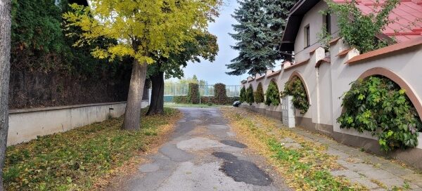 Krajobrazowe zamknięcie osi widokowej. Winobluszcz pokrywający ekrany akustyczne.