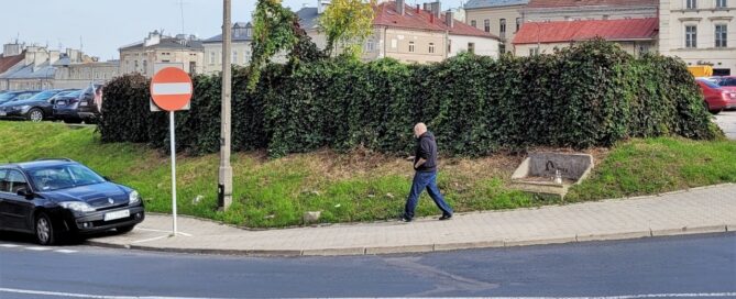 Zarośnięty pnączami narożnik parkingu przy skrzyżowaniu ulic.