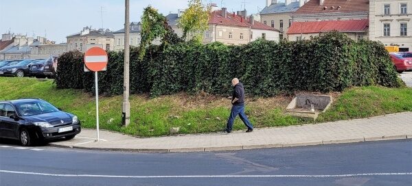 Zarośnięty pnączami narożnik parkingu przy skrzyżowaniu ulic.