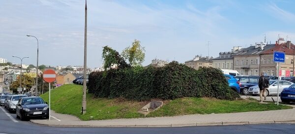 Zarośnięty pnączami narożnik parkingu przy skrzyżowaniu ulic.
