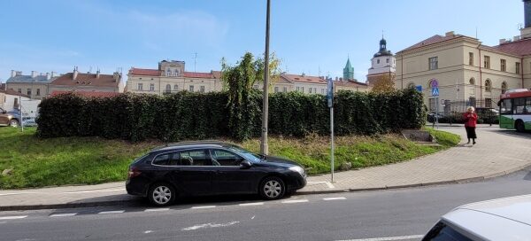 Zarośnięty pnączami narożnik parkingu przy skrzyżowaniu ulic.