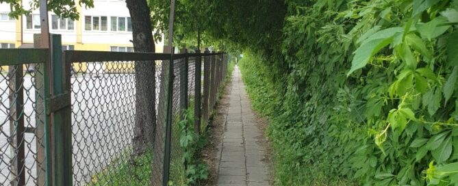 Wąski chodnik dla pieszych, oddzielony z jednej strony płotem, z drugiej ścianą zieleni.