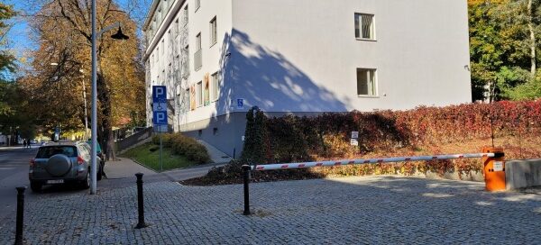 Ogrodzenie porośnięte bluszczem, któro odziela teren między budynkami. Bluszcz koloru czerwonego.