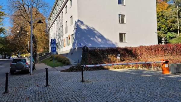 Ogrodzenie porośnięte bluszczem, któro odziela teren między budynkami. Bluszcz koloru czerwonego.