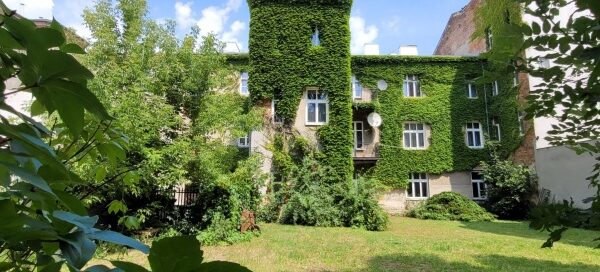 Kamienica porośnięta pnączami. Na podwórzu kamienicy rośnie trawa.