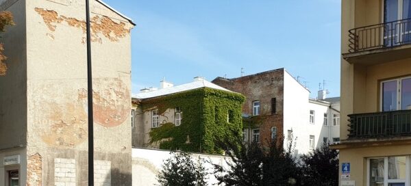 Kamienice w centrum miasta porośnięte pnączami. Kolor pnączy jest zielony.