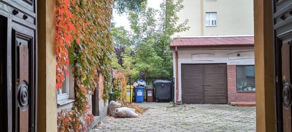 Widok z bramy na podwórze kamienic. Jedna ze ścian kamienicy, porośnięta jest pnączami. Okres Jesienny.