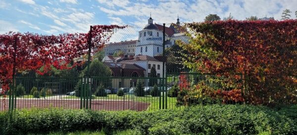 Ogrodzenie otaczające boisko szkolne. Porośnięte jest winobluszczem. Widok Jesienią, winobluszcz ma kolor czerwony. W tle widoczne są zabudowania Starego Miasta.