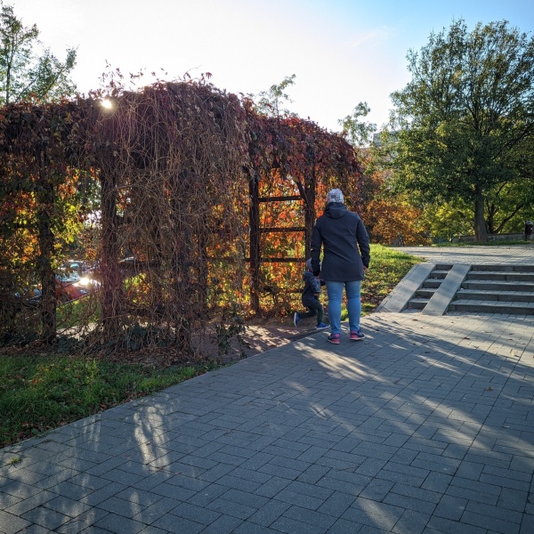 Pergola porośnięta pnączami przy jednej z alejek osiedla mieszkaniowego. Okres jesienny.