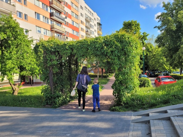Pergola porośnięta pnączami, usytuowana przy alejce, na osiedlu mieszkaniowym.